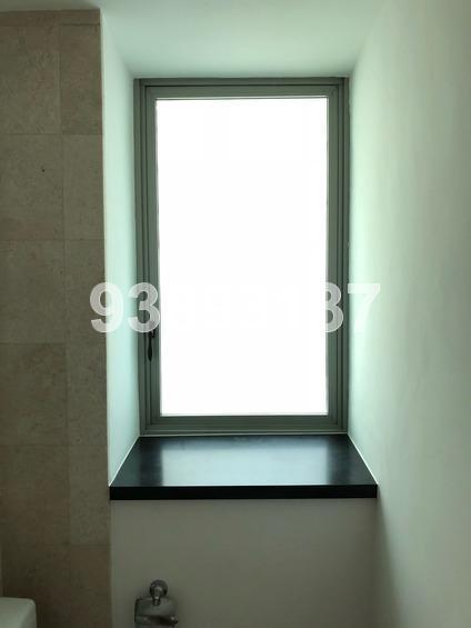 The Serenade @ Holland (D10), Condominium #170977362